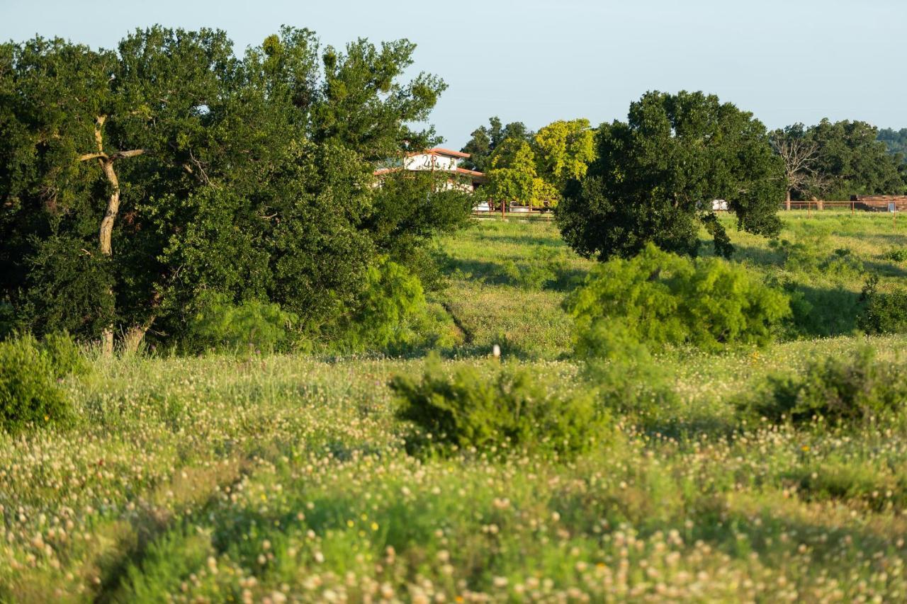 Wildcatter Ranch And Resort Graham Eksteriør billede
