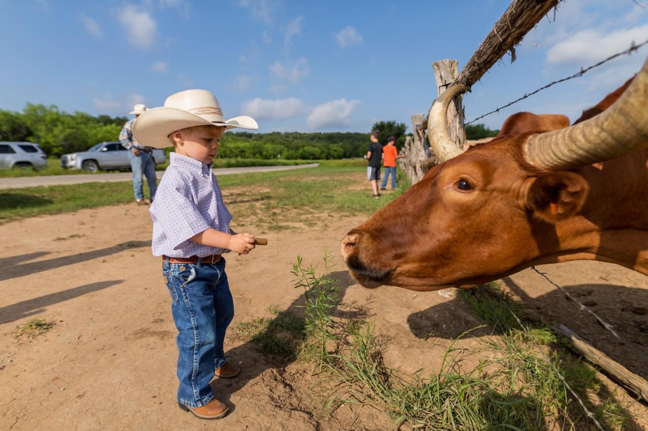 Wildcatter Ranch And Resort Graham Eksteriør billede