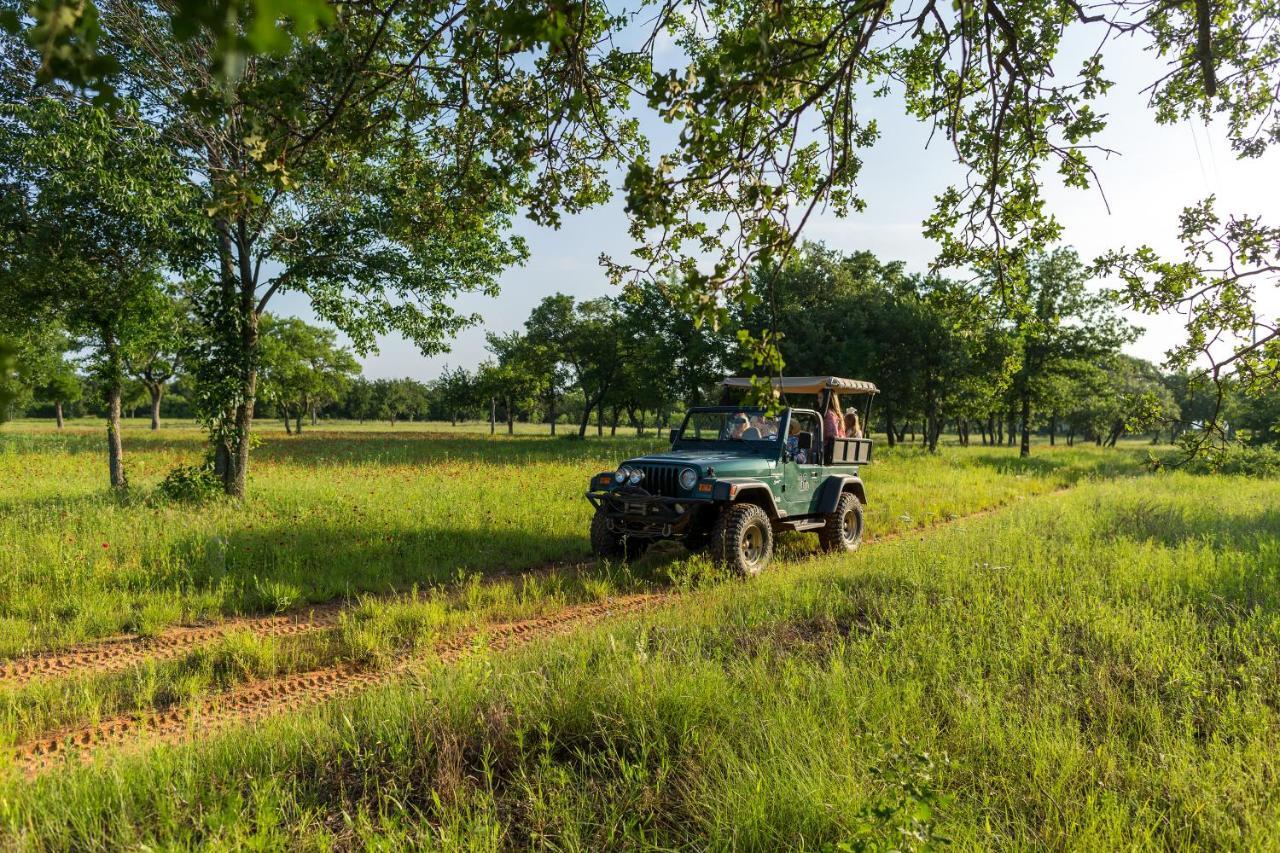 Wildcatter Ranch And Resort Graham Eksteriør billede